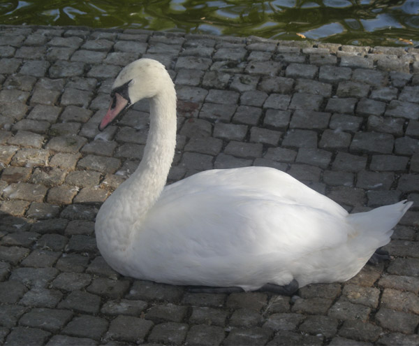 Kugulu_Park_Ankara