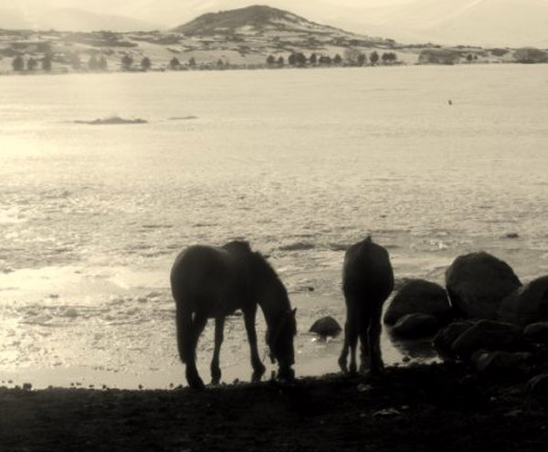 Cildir_Golu_Akcakale_Koyu_Cildir_Ardahan