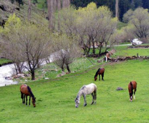 Sulakyurt_Koyu_Merkez_Ardahan