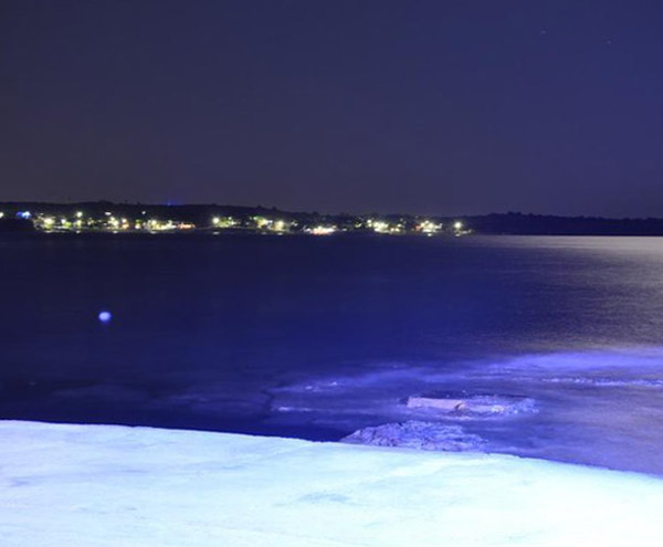 Didim_Aydin