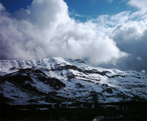 Hakkari