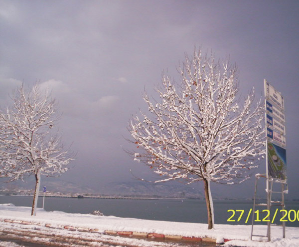 Sahil_Yolu_Kocaeli