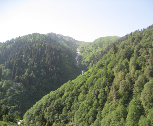 Ayder_Yaylasi_Camlihemsin_Rize