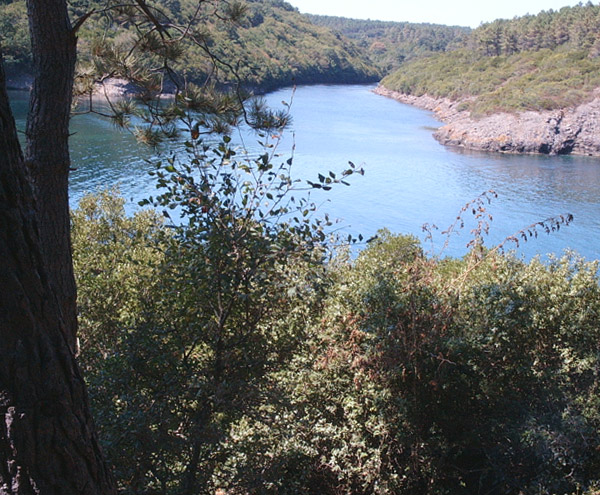 Hamsilos_Koyu_Sinop