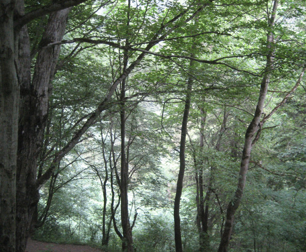 Sumela_Manastiri_Trabzon