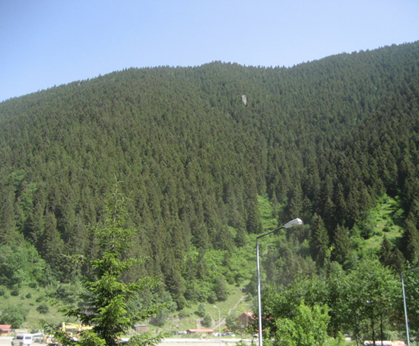 Uzungol_Trabzon