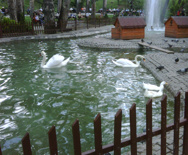 Kugulu_Park_Ankara