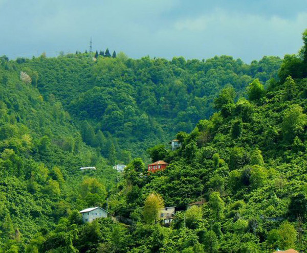 Seldegirmeni_Mahallesi_Giresun