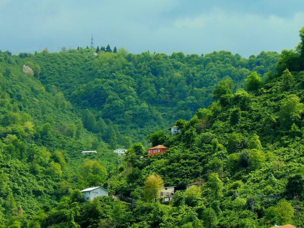 Seldegirmeni_Mahallesi_Giresun